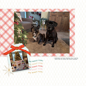 Dogs Advent Calendar (next To New Star)