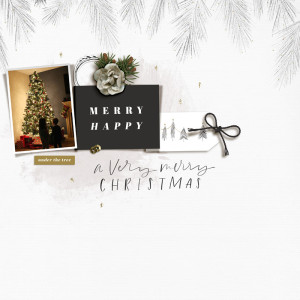 Merry Christmas