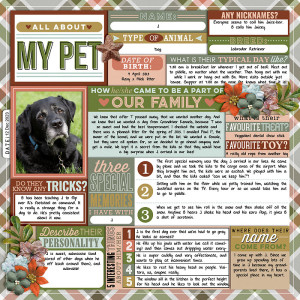 All About My Pet