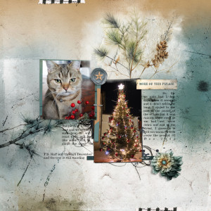 231202_xmas Pip