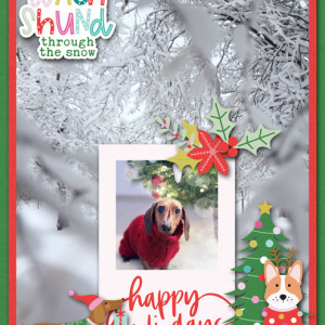 Dachshund-Through-The-Snow