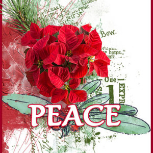Peace---week-2