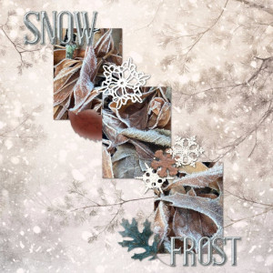 Snow-Frost