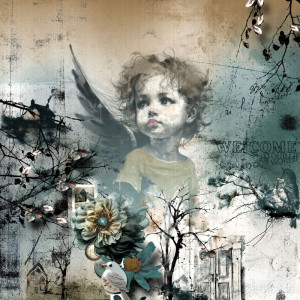 cherub