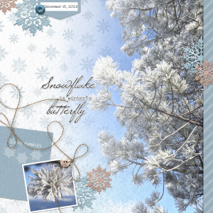 Winter's-butterfly