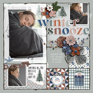 FF_dec29_MPM_LG_Winter Snooze