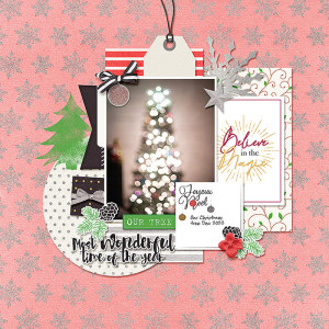 Our Tree
