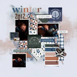 2012-Winter-Sleep