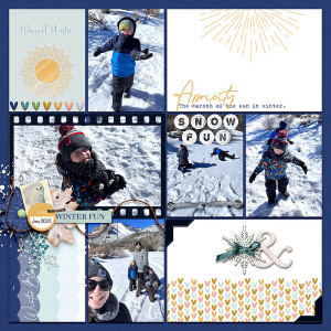Snow-apricity