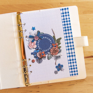 January Planner Cover - dutch door (hybrid)