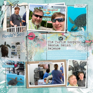 Sea Turtle Hospital Left
