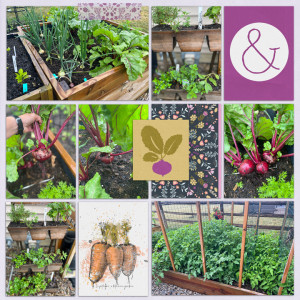 2023 Garden
