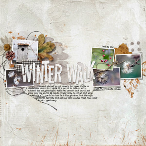 Winter-Walk