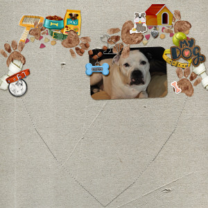 MOC12_2 - Love My Dog