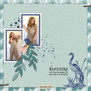 Apricity