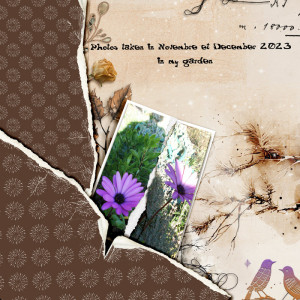 January-5---Torn-photos-collage