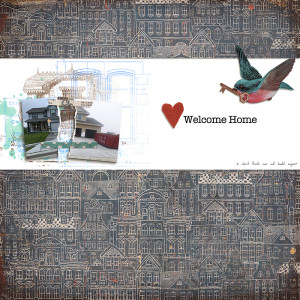 Home MOC 12 torn