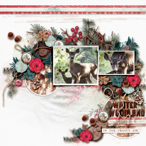 Winter Woodland
