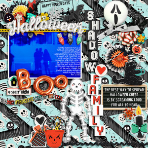 Shadow family