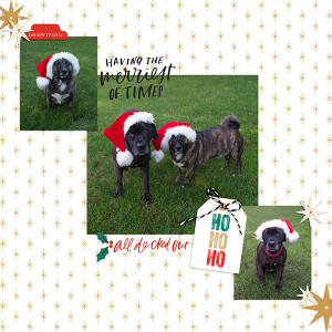 MOC 2 Santa Dogs