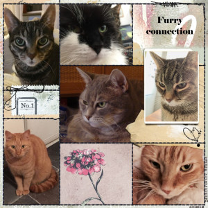 January 6 - Generation/Family Connection