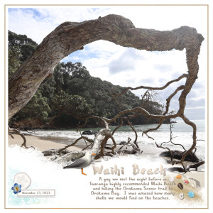 MOC D9 Waihi Beach-NZ