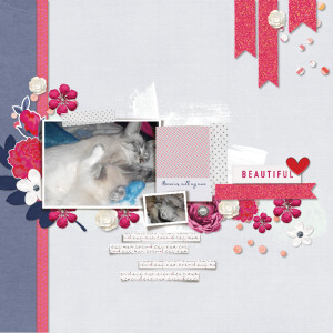 Family Album Mum