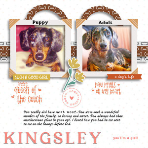 Kingsley-MOC