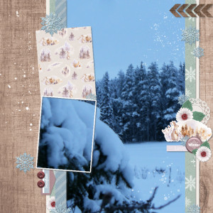 January 9. Big photo