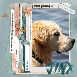 January-7-Looking-forward