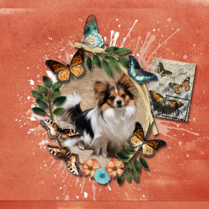 January-12---Everything-Connected---Papillons