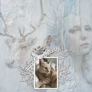 January 12: Everything Connected