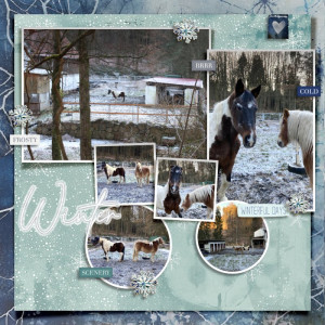 January 12 Everything Connected