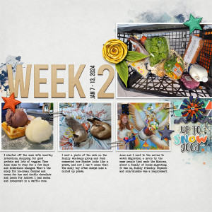 Week 2