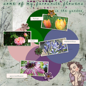 January-13-_-Venn-Diagram