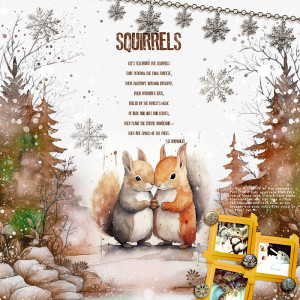 Squirrels