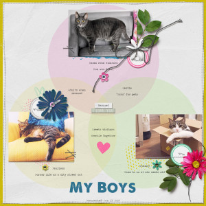 Day-13---My-Boys