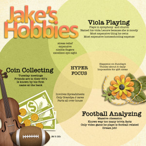 MOC12 - Jake's Hobbies