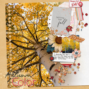Autumn Color
