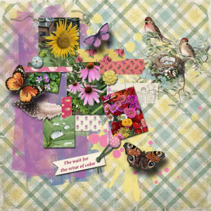 January 15_Washi