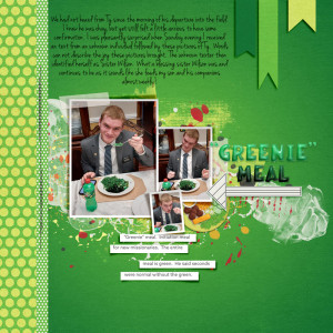 MOC D16 Greenie Meal