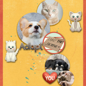 Adopt
