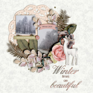Beautiful Winter