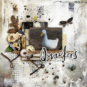Quackers  (MOC19 Paper 2 Digi)