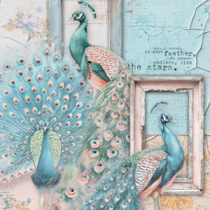 Peacocks_Frames