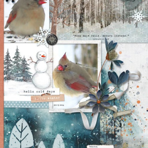 A-Winters-Tale