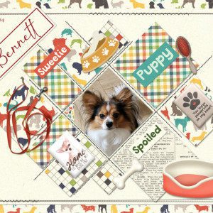 January-19---Paper-2-Digi---Bennett