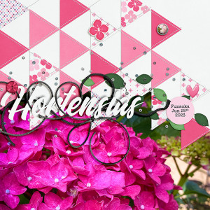 Hydrangeas