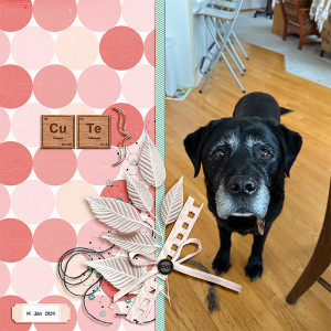 Cute