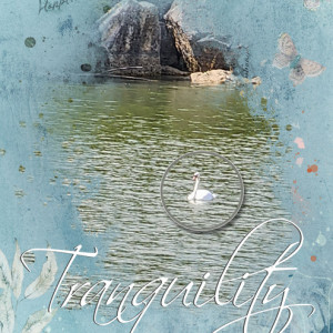 January-22---Large-Photo-with-Pop-Out---Tranquility